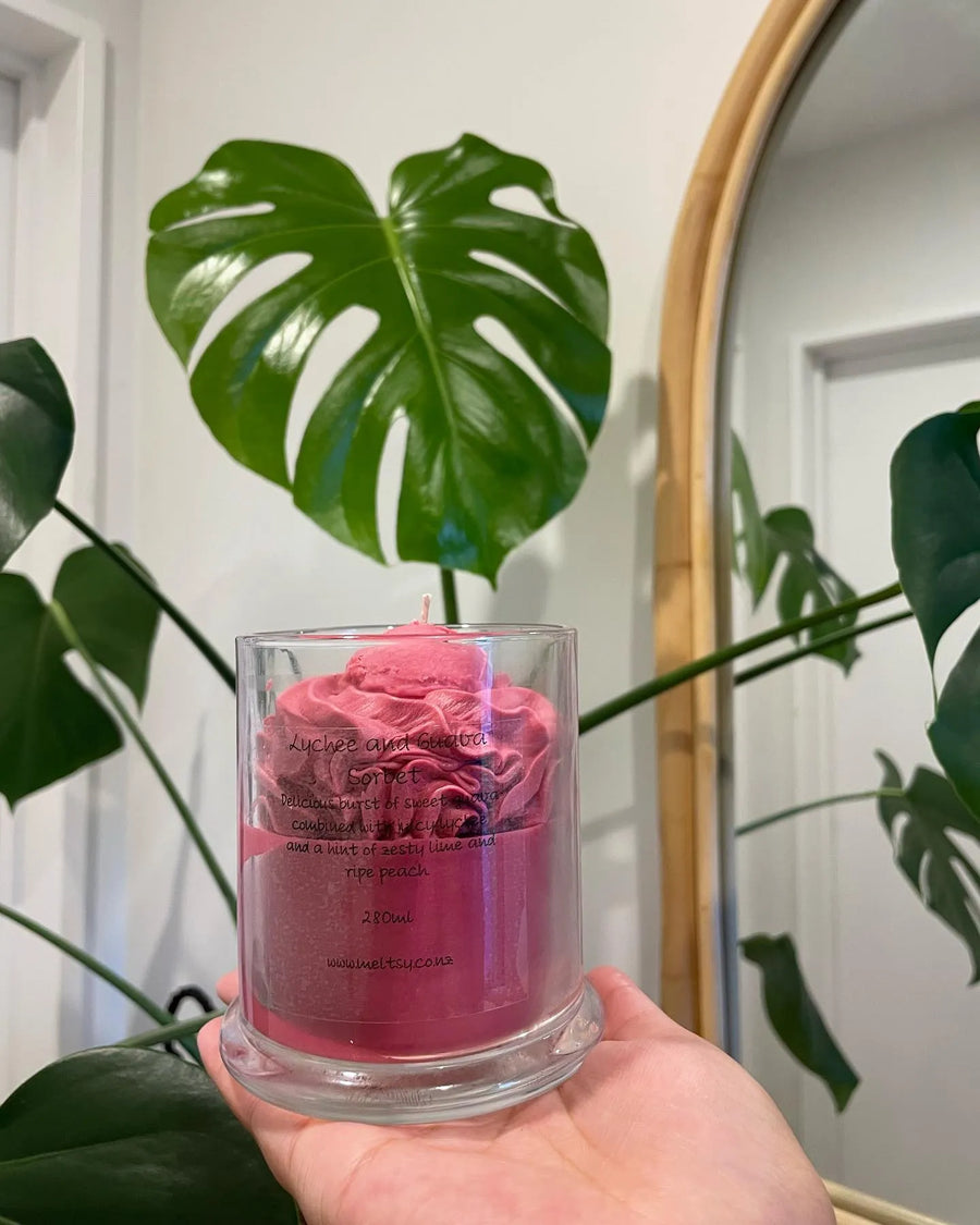 Lychee and Guava Sorbet - Meltsy